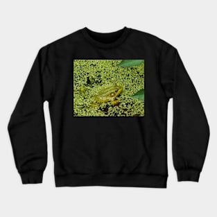 What do you mean you can see me, this is my best disguise Crewneck Sweatshirt